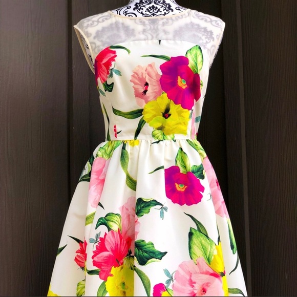 Ted Baker Dresses & Skirts - Ted Baker dress